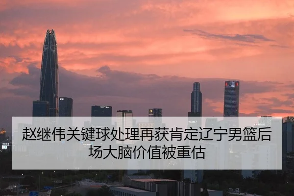 赵继伟关键球处理再获肯定辽宁男篮后场大脑价值被重估